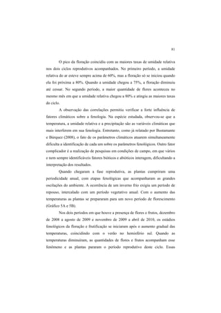 81
O pico da floração coincidiu com as maiores taxas de umidade relativa
nos dois ciclos reprodutivos acompanhados. No primeiro período, a umidade
relativa do ar esteve sempre acima de 60%, mas a floração só se iniciou quando
ela foi próxima a 80%. Quando a umidade chegou a 75%, a floração diminuiu
até cessar. No segundo período, a maior quantidade de flores aconteceu no
mesmo mês em que a umidade relativa chegou a 80% e atingiu as maiores taxas
do ciclo.
A observação das correlações permitiu verificar a forte influência de
fatores climáticos sobre a fenologia. Na espécie estudada, observou-se que a
temperatura, a umidade relativa e a precipitação são as variáveis climáticas que
mais interferem em sua fenologia. Entretanto, como já relatado por Bustamante
e Búrquez (2008), o fato de os parâmetros climáticos atuarem simultaneamente
dificulta a identificação de cada um sobre os parâmetros fenológicos. Outro fator
complicador é a realização de pesquisas em condições de campo, em que vários
e nem sempre identificáveis fatores bióticos e abióticos interagem, dificultando a
interpretação dos resultados.
Quando chegaram a fase reprodutiva, as plantas cumpriram uma
periodicidade anual, com etapas fenológicas que acompanharam as grandes
oscilações do ambiente. A ocorrência de um inverno frio exigiu um período de
repouso, intercalado com um período vegetativo anual. Com o aumento das
temperaturas as plantas se prepararam para um novo período de florescimento
(Gráfico 5A e 5B).
Nos dois períodos em que houve a presença de flores e frutos, dezembro
de 2008 a agosto de 2009 e novembro de 2009 a abril de 2010, os estádios
fenológicos da floração e frutificação se iniciaram após o aumento gradual das
temperaturas, coincidindo com o verão no hemisfério sul. Quando as
temperaturas diminuíram, as quantidades de flores e frutos acompanham esse
fenômeno e as plantas pararam o período reprodutivo deste ciclo. Essas
 