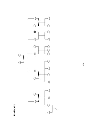 Família M-5




              129
 