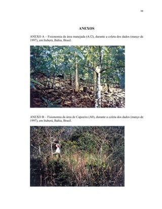 98




                                   ANEXOS

ANEXO A – Fisionomia da área manejada (A12), durante a coleta dos dados (março de
1997), em Ituberá, Bahia, Brasil.




ANEXO B – Fisionomia da área de Capoeira (A0), durante a coleta dos dados (março de
1997), em Ituberá, Bahia, Brasil.
 