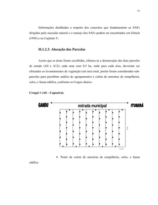 19




          Informações detalhadas a respeito dos conceitos que fundamentam os SAFs
dirigidos pela sucessão natural e o manejo dos SAFs podem ser encontrados em Götsch
(1995) e no Capítulo V.


          II.1.2.3. Alocação das Parcelas


          Assim que as áreas foram escolhidas, efetuou-se a demarcação das duas parcelas
de estudo (A0 e A12), cada uma com 0,5 ha, onde para cada área, deveriam ser
efetuados os levantamentos de vegetação (em área total, porém foram consideradas sub-
parcelas para possibitar análise de agrupamento) e coleta de amostras de serapilheira,
solos, e fauna edáfica, conforme os Coquis abaixo:


Croqui 1 (A0 – Capoeira):




                                                                                 35 m




                                                                        14,3 m




                           Ponto de coleta de amostras de serapilheira, solos, e fauna
edáfica
 