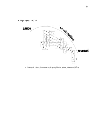 20




Croqui 2 (A12 – SAF):




                                                                           20m
                                                                    10 m



          Ponto de coleta de amostras de serapilheira, solos, e fauna edáfica
 