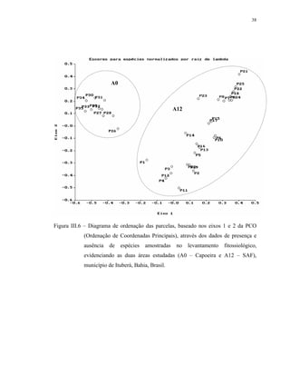 38




                       A0



                                                    A12




Figura III.6 – Diagrama de ordenação das parcelas, baseado nos eixos 1 e 2 da PCO
            (Ordenação de Coordenadas Principais), através dos dados de presença e
            ausência   de   espécies   amostradas    no   levantamento   fitossiológico,
            evidenciando as duas áreas estudadas (A0 – Capoeira e A12 – SAF),
            município de Ituberá, Bahia, Brasil.
 