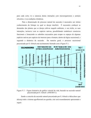 81




para cada ciclo; iv) a natureza destas interações com microorganismos e animais
silvestres; v) as condições climáticas.
          Para a dinamização do processo natural da sucessão é necessário um íntimo
conhecimento do biótopo no qual se deseja interferir.       É necessário conhecer as
demandas das plantas que se deseja cultivar naquele ambiente, o seu nicho, as suas
interações, inclusive com as espécies nativas, possibilitando estabelecer consórcios
funcionais e fornecendo os subsídios necessários para ocupar os espaços de algumas
espécies nativas por espécies de interesse para o homem, dentro da lógica sucessional, e
seguindo a dinâmica da sucessão.          De maneira geral, o processo sucessional
preconizado por E. Götsch está sucintamente ilustrado com a Figura V.1.




Figura V.1 – Figura ilustrativa do gráfico vetorial da vida, baseado na sucessão natural
              preconizada por E. Götsch (ANEXO U).

      Sendo o conceito da sucessão natural preconizado por E. Götsch a idéia-chave que
alicerça todo o sistema agroflorestal em questão, este será resumidamente apresentado a
seguir:
 