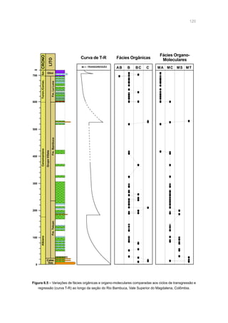 120
Figura 6.5 – Variações de fácies orgânicas e organo-moleculares comparadas aos ciclos de transgressão e
regressão (curva T-R) ao longo da seção do Rio Bambuca, Vale Superior do Magdalena, Colômbia.
AB B BC C MA MC MS MT
Fácies Orgânicas
Fácies Organo-
Moleculares
0
100
200
300
Albiano
Caba-
llos
Fm.Tetuan
400
500
600
700
m
CenomanianoTuron./Coniac.San.CRONO
LITO
Fm.Bambuca
GrupoVilleta
Fm.LaLuna
Olini
TRANSGRESSÃO
Curva de T-R
 