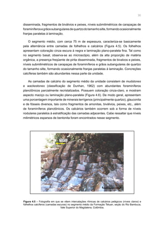 30
disseminada, fragmentos de biválvios e peixes, níveis submilimétricos de carapaças de
foraminíferosegrãossubangularesdequartzodotamanhosilte,formandoocasionalmente
franjas paralelas à laminação.
O segmento médio, com cerca 75 m de espessura, caracteriza-se basicamente
pela alternância entre camadas de folhelhos e calcários (Figura 4.5). Os folhelhos
apresentam coloração cinza escura à negra e laminação plano-paralela fina. Tal como
no segmento basal, observa-se ao microscópio, além da alta proporção de matéria
orgânica, a presença freqüente de pirita disseminada, fragmentos de bivalvos e peixes,
níveis submilimétricos de carapaças de foraminíferos e grãos subangulares de quartzo
do tamanho silte, formando ocasionalmente franjas paralelas à laminação. Concreções
calcíferas também são abundantes nessa parte da unidade.
As camadas de calcário do segmento médio da unidade consistem de mudstones
e wackestones (classificação de Dunhan, 1962) com abundantes foraminíferos
planctônicos parcialmente recristalizados. Possuem coloração cinza-claro, e mostram
aspecto maciço ou laminação plano-paralela (Figura 4.6). De modo geral, apresentam
uma porcentagem importante de minerais terrígenos (principalmente quartzo), glauconita
e de fósseis diversos, tais como fragmentos de amonitas, biválvios, peixes, etc., além
de foraminíferos planctônicos. Os calcários também ocorrem sob a forma de níveis
nodulares paralelos à estratificação das camadas adjacentes. Cabe ressaltar que níveis
milimétricos esparsos de bentonita foram encontrados nesse segmento.
Figura 4.5 – Fotografia em que se vêem intercalações rítmicas de calcários pelágicos (níveis claros) e
folhelhos calcíferos (camadas escuras) no segmento médio da Formação Tetuan, seção do Rio Bambuca,
Vale Superior do Magdalena, Colômbia.
1m
TOPO
 