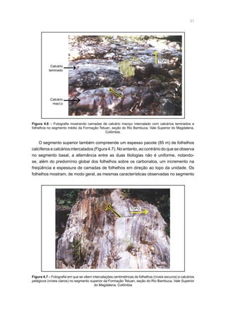 31
Calcário
laminado
TOPO
Figura 4.6 – Fotografia mostrando camadas de calcário maciço intercalado com calcários laminados e
folhelhos no segmento médio da Formação Tetuan, seção do Rio Bambuca, Vale Superior do Magdalena,
Colômbia.
Calcário
maci;o
O segmento superior também compreende um espesso pacote (85 m) de folhelhos
calcíferos e calcários intercalados (Figura 4.7). No entanto, ao contrário do que se observa
no segmento basal, a alternância entre as duas litologias não é uniforme, notando-
se, além do predomínio global dos folhelhos sobre os carbonatos, um incremento na
freqüência e espessura de camadas de folhelhos em direção ao topo da unidade. Os
folhelhos mostram, de modo geral, as mesmas características observadas no segmento
Figura 4.7 – Fotografia em que se vêem intercalações centimétricas de folhelhos (níveis escuros) e calcários
pelágicos (níveis claros) no segmento superior da Formação Tetuan, seção do Rio Bambuca, Vale Superior
do Magdalena, Colômbia
TOPO
 