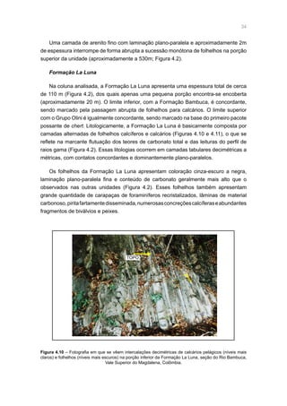 34
Uma camada de arenito fino com laminação plano-paralela e aproximadamente 2m
de espessura interrompe de forma abrupta a sucessão monótona de folhelhos na porção
superior da unidade (aproximadamente a 530m; Figura 4.2).
Formação La Luna
Na coluna analisada, a Formação La Luna apresenta uma espessura total de cerca
de 110 m (Figura 4.2), dos quais apenas uma pequena porção encontra-se encoberta
(aproximadamente 20 m). O limite inferior, com a Formação Bambuca, é concordante,
sendo marcado pela passagem abrupta de folhelhos para calcários. O limite superior
com o Grupo Olini é igualmente concordante, sendo marcado na base do primeiro pacote
possante de chert. Litologicamente, a Formação La Luna é basicamente composta por
camadas alternadas de folhelhos calcíferos e calcários (Figuras 4.10 e 4.11), o que se
reflete na marcante flutuação dos teores de carbonato total e das leituras do perfil de
raios gama (Figura 4.2). Essas litologias ocorrem em camadas tabulares decimétricas a
métricas, com contatos concordantes e dominantemente plano-paralelos.
Os folhelhos da Formação La Luna apresentam coloração cinza-escuro a negra,
laminação plano-paralela fina e conteúdo de carbonato geralmente mais alto que o
observados nas outras unidades (Figura 4.2). Esses folhelhos também apresentam
grande quantidade de carapaças de foraminíferos recristalizados, lâminas de material
carbonoso,piritafartamentedisseminada,numerosasconcreçõescalcíferaseabundantes
fragmentos de biválvios e peixes.
Figura 4.10 – Fotografia em que se vêem intercalações decimétricas de calcários pelágicos (níveis mais
claros) e folhelhos (níveis mais escuros) na porção inferior da Formação La Luna, seção do Rio Bambuca,
Vale Superior do Magdalena, Colômbia.
TOPO
 