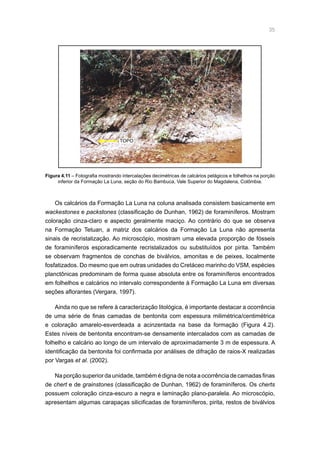 35
Os calcários da Formação La Luna na coluna analisada consistem basicamente em
wackestones e packstones (classificação de Dunhan, 1962) de foraminíferos. Mostram
coloração cinza-claro e aspecto geralmente maciço. Ao contrário do que se observa
na Formação Tetuan, a matriz dos calcários da Formação La Luna não apresenta
sinais de recristalização. Ao microscópio, mostram uma elevada proporção de fósseis
de foraminíferos esporadicamente recristalizados ou substituídos por pirita. Também
se observam fragmentos de conchas de biválvios, amonitas e de peixes, localmente
fosfatizados. Do mesmo que em outras unidades do Cretáceo marinho do VSM, espécies
planctônicas predominam de forma quase absoluta entre os foraminíferos encontrados
em folhelhos e calcários no intervalo correspondente à Formação La Luna em diversas
seções aflorantes (Vergara, 1997).
Ainda no que se refere à caracterização litológica, é importante destacar a ocorrência
de uma série de finas camadas de bentonita com espessura milimétrica/centimétrica
e coloração amarelo-esverdeada a acinzentada na base da formação (Figura 4.2).
Estes níveis de bentonita encontram-se densamente intercalados com as camadas de
folhelho e calcário ao longo de um intervalo de aproximadamente 3 m de espessura. A
identificação da bentonita foi confirmada por análises de difração de raios-X realizadas
por Vargas et al. (2002).
Na porção superior da unidade, também é digna de nota a ocorrência de camadas finas
de chert e de grainstones (classificação de Dunhan, 1962) de foraminíferos. Os cherts
possuem coloração cinza-escuro a negra e laminação plano-paralela. Ao microscópio,
apresentam algumas carapaças silicificadas de foraminíferos, pirita, restos de biválvios
Figura 4.11 – Fotografia mostrando intercalações decimétricas de calcários pelágicos e folhelhos na porção
inferior da Formação La Luna, seção do Rio Bambuca, Vale Superior do Magdalena, Colômbia.
TOPO
 