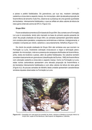 36
e peixes e pellets fosfatizados. Os grainstones, por sua vez, mostram coloração
castanha a cinza-claro e aspecto maciço. Ao microscópio, além da elevada proporção de
foraminíferos de tamanho muito fino, observa-se a presença de uma grande quantidade
de bioclastos intensamente fosfatizados, o que se reflete em altos valores de leitura de
raios gama (intervalo acima de 675 m; Figura 4.2).
Grupo Olini
Foramanalisadossomenteos22mbasaisdoGrupoOlini.SeucontatocomaFormação
La Luna é concordante, tendo sido marcado na base do primeiro pacote possante de
chert. Na porção analisada do Grupo Olini, as camadas apresentam geometria tabular
com contatos plano-paralelos, e espessuras centimétricas a métricas. Litologicamente, a
unidade é composta por cherts, calcários e, secundariamente, folhelhos (Figura 4.12).
Os cherts da porção analisada do Grupo Olini são similares aos que ocorrem na
Formação La Luna, mostrando coloração cinza-escuro a negra e laminação plano-
paralela. Ao microscópio, nota-se a presença de carapaças silicificadas de foraminíferos,
pirita, restos de biválvios e peixes, além de pellets fosfatizados. Os calcários também
consistem basicamente em grainstones (classificação de Dunhan, 1962) de foraminíferos
com coloração castanha a cinza-claro e aspecto maciço. Como na Formação La Luna,
estas rochas carbonáticas apresentam uma elevada proporção de foraminíferos e
de bioclastos intensamente fosfatizados e com altos valores de leitura de raios gama
(Figura 4.2). As poucas camadas de folhelho desta unidade apresentam características
similares àquelas observadas na Formação La Luna.
Figura 4.12 – Fotografia com vista geral da sucessão de cherts, calcários e folhelhos na porção inferior do
Grupo Olini, seção do Rio Bambuca, Vale Superior do Magdalena, Colômbia.
1m
TOPO
 