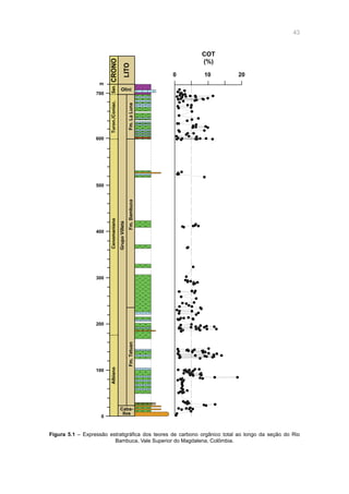 43
Figura 5.1 – Expressão estratigráfica dos teores de carbono orgânico total ao longo da seção do Rio
Bambuca, Vale Superior do Magdalena, Colômbia.
0 10 20
COT
(%)
0
100
200
300
Albiano
Caba-
llos
Fm.Tetuan
400
500
600
700
m
CenomanianoTuron./Coniac.San.CRONO
LITO
Fm.Bambuca
GrupoVilleta
Fm.LaLuna
Olini
 