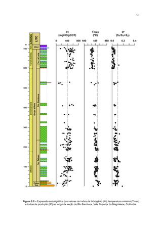 50
0 400 800
IH
(mgHC/gCOT)
Tmax
(°C)
400 430 460
IP
(S1/S1+S2)
0.0 0.2 0.4
0
100
200
300
Albiano
Caba-
llos
Fm.Tetuan
400
500
600
700
m
CenomanianoTuron./Coniac.San.CRONO
LITO
Fm.Bambuca
GrupoVilleta
Fm.LaLuna
Olini
Figura 5.5 – Expressão estratigráfica dos valores de índice de hidrogênio (IH), temperatura máxima (Tmax)
e índice de produção (IP) ao longo da seção do Rio Bambuca, Vale Superior do Magdalena, Colômbia.
 