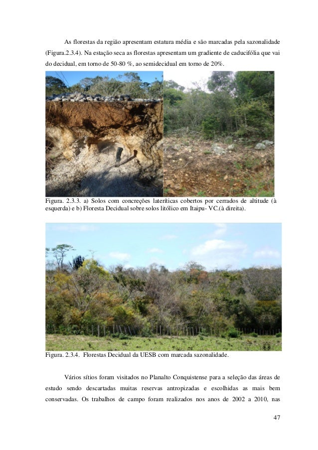 Tese - Fitogeografia e est. das florestas estacionais no brasil