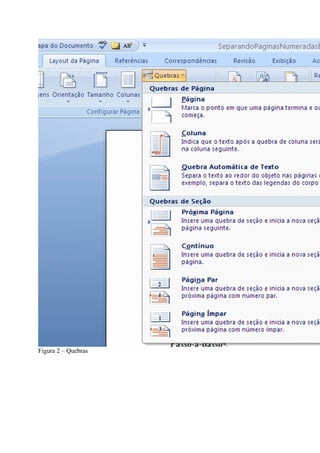 Figura 2 – Quebras
 