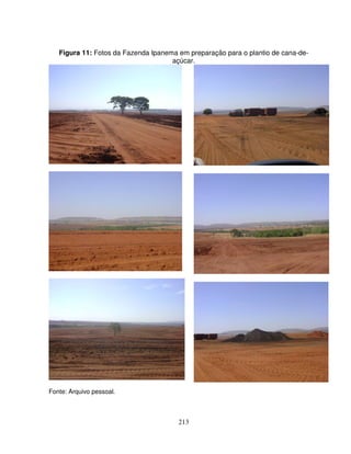 213
Figura 11: Fotos da Fazenda Ipanema em preparação para o plantio de cana-de-
açúcar.
Fonte: Arquivo pessoal.
 