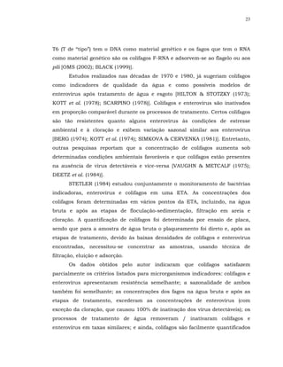 23




T6 (T de “tipo”) tem o DNA como material genético e os fagos que tem o RNA
como material genético são os colifagos F-RNA e adsorvem-se ao flagelo ou aos
pili [OMS (2002); BLACK (1999)].
      Estudos realizados nas décadas de 1970 e 1980, já sugeriam colifagos
como indicadores de qualidade da água e como possíveis modelos de
enterovírus após tratamento de água e esgoto [HILTON & STOTZKY (1973);
KOTT et al. (1978); SCARPINO (1978)]. Colifagos e enterovírus são inativados
em proporção comparável durante os processos de tratamento. Certos colifagos
são tão resistentes quanto alguns enterovírus às condições de estresse
ambiental e à cloração e exibem variação sazonal similar aos enterovirus
[BERG (1974); KOTT et al. (1974); SIMKOVA & CERVENKA (1981)]. Entretanto,
outras pesquisas reportam que a concentração de colifagos aumenta sob
determinadas condições ambientais favoráveis e que colifagos estão presentes
na ausência de vírus detectáveis e vice-versa [VAUGHN & METCALF (1975);
DEETZ et al. (1984)].
      STETLER (1984) estudou conjuntamente o monitoramento de bactérias
indicadoras, enterovírus e colifagos em uma ETA. As concentrações dos
colifagos foram determinadas em vários pontos da ETA, incluindo, na água
bruta e após as etapas de floculação-sedimentação, filtração em areia e
cloração. A quantificação de colifagos foi determinada por ensaio de placa,
sendo que para a amostra de água bruta o plaqueamento foi direto e, após as
etapas de tratamento, devido às baixas densidades de colifagos e enterovírus
encontradas, necessitou-se concentrar as amostras, usando técnica de
filtração, eluição e adsorção.
      Os dados obtidos pelo autor indicaram que colifagos satisfazem
parcialmente os critérios listados para microrganismos indicadores: colifagos e
enterovírus apresentaram resistência semelhante; a sazonalidade de ambos
também foi semelhante; as concentrações dos fagos na água bruta e após as
etapas de tratamento, excederam as concentrações de enterovírus (com
exceção da cloração, que causou 100% de inativação dos vírus detectáveis); os
processos de tratamento de água removeram / inativaram colifagos e
enterovírus em taxas similares; e ainda, colifagos são facilmente quantificados
 