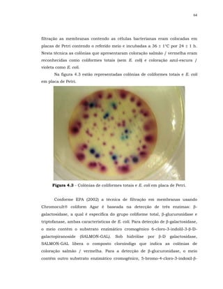 64




filtração as membranas contendo as células bacterianas eram colocadas em
placas de Petri contendo o referido meio e incubadas a 36 ± 1°C por 24 ± 1 h.
Nesta técnica as colônias que apresentaram coloração salmão / vermelha eram
reconhecidas como coliformes totais (sem E. coli) e coloração azul-escura /
violeta como E. coli.
       Na figura 4.3 estão representadas colônias de coliformes totais e E. coli
em placa de Petri.




      Figura 4.3 - Colônias de coliformes totais e E. coli em placa de Petri.


       Conforme EPA (2002) a técnica de filtração em membranas usando
Chromocult coliform Agar é baseada na detecção de três enzimas: β-
galactosidase, a qual é específica do grupo coliforme total, β-glucuronidase e
triptofanase, ambas características de E. coli. Para detecção de β-galactosidase,
o meio contém o substrato enzimático cromogênico 6-cloro-3-indolil-3-β-D-
galactopiranoside       (SALMON-GAL).   Sob   hidrólise   por   β-D   galactosidase,
SALMON-GAL libera o composto cloroindigo que indica as colônias de
coloração salmão / vermelha. Para a detecção de β-glucuronidase, o meio
contém outro substrato enzimático cromogênico, 5-bromo-4-cloro-3-indoxil-β-
 