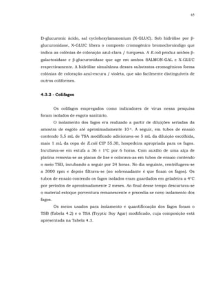 65




D-glucuronic ácido, sal cyclohexylammonium (X-GLUC). Sob hidrólise por β-
glucuronidase, X-GLUC libera o composto cromogênico bromocloroindigo que
indica as colônias de coloração azul-clara / turquesa. A E.coli produz ambos β-
galactosidase e β-glucuronidase que age em ambos SALMON-GAL e X-GLUC
respectivamente. A hidrólise simultânea desses substratos cromogênicos forma
colônias de coloração azul-escura / violeta, que são facilmente distinguíveis de
outros coliformes.


4.3.2 - Colifagos


         Os colifagos empregados como indicadores de vírus nessa pesquisa
foram isolados de esgoto sanitário.
         O isolamento dos fagos era realizado a partir de diluições seriadas da
amostra de esgoto até aproximadamente 10-4. A seguir, em tubos de ensaio
contendo 5,5 mL de TSA modificado adicionava-se 5 mL da diluição escolhida,
mais 1 mL da cepa de E.coli CIP 55.30, hospedeira apropriada para os fagos.
Incubava-se em estufa a 36 ± 1°C por 6 horas. Com auxílio de uma alça de
platina removia-se as placas de lise e colocava-as em tubos de ensaio contendo
o meio TSB, incubando a seguir por 24 horas. No dia seguinte, centrifugava-se
a 3000 rpm e depois filtrava-se (no sobrenadante é que ficam os fagos). Os
tubos de ensaio contendo os fagos isolados eram guardados em geladeira a 4°C
por períodos de aproximadamente 2 meses. Ao final desse tempo descartava-se
o material estoque porventura remanescente e procedia-se novo isolamento dos
fagos.
         Os meios usados para isolamento e quantificcação dos fagos foram o
TSB (Tabela 4.2) e o TSA (Tryptic Soy Agar) modificado, cuja composição está
apresentada na Tabela 4.3.
 
