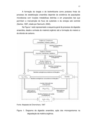 13
A formação do biogás e do biofertilizante como produtos finais do
processo de estabilização anaeróbia depende da existência de populações
microbianas com funções metabólicas distintas e em proporções tais que
permitam a manutenção do fluxo de substrato e da energia sob controle
(Santos, 1997, citado por Namiuchi, 2002).
Na Figura 1 está representado o esquema geral do processo de digestão
anaeróbia, desde a entrada do material orgânico até a formação do metano e
do dióxido de carbono.

Fonte: Adaptado de Chernicharo, 1997

Figura 1. Diagrama da digestão anaeróbia, ação dos microrganismos na
degradação da matéria orgânica.

 