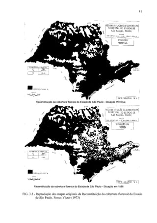 81




FIG. 3.3 - Reprodução dos mapas originais da Reconstituição da cobertura florestal do Estado
           de São Paulo. Fonte: Victor (1973)
 