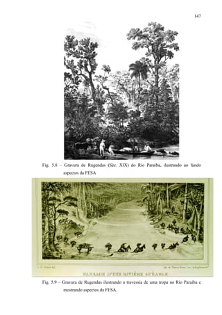 147




Fig. 5.8 – Gravura de Rugendas (Séc. XIX) do Rio Paraíba, ilustrando ao fundo
           aspectos da FESA




Fig. 5.9 – Gravura de Rugendas ilustrando a travessia de uma tropa no Rio Paraíba e
           mostrando aspectos da FESA.
 
