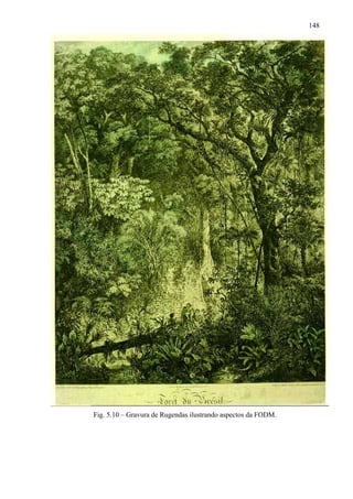 148




Fig. 5.10 – Gravura de Rugendas ilustrando aspectos da FODM.
 