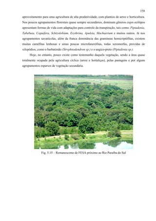 158
aproveitamento para uma agricultura de alta produtividade, com plantios de arroz e horticultura.
Nos poucos agrupamentos florestais quase sempre secundários, dominam gêneros cujos ecótipos
apresentam formas de vida com adaptações para controle da transpiração, tais como: Piptadenia,
Tabebuia, Copaifera, Schizolobium, Erythrina, Apuleia, Machaerium e muitos outros. Já nos
agrupamentos savanícolas, além da franca dominância das gramíneas hemicriptófitas, existem
muitas caméfitas lenhosas e umas poucas microfanerófitas, todas xeromorfas, providas de
xilopódios, como o barbatimão (Strvphnodendron sp.) e o angico-preto (Piptadenia sp.).
     Hoje, no entanto, pouco existe como testemunho daquela vegetação, sendo a área quase
totalmente ocupada pela agricultura cíclica (arroz e hortaliças), pelas pastagens e por alguns
agrupamentos esparsos de vegetação secundária.




              Fig. 5.15 – Remanescente de FESA próximo ao Rio Paraíba do Sul
 