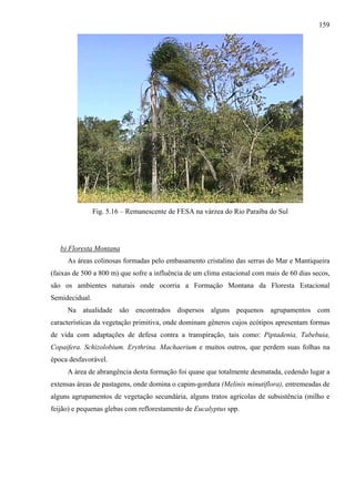 159




                Fig. 5.16 – Remanescente de FESA na várzea do Rio Paraíba do Sul




   b) Floresta Montana
     As áreas colinosas formadas pelo embasamento cristalino das serras do Mar e Mantiqueira
(faixas de 500 a 800 m) que sofre a influência de um clima estacional com mais de 60 dias secos,
são os ambientes naturais onde ocorria a Formação Montana da Floresta Estacional
Semidecidual.
     Na atualidade são encontrados dispersos alguns pequenos agrupamentos com
características da vegetação primitiva, onde dominam gêneros cujos ecótipos apresentam formas
de vida com adaptações de defesa contra a transpiração, tais como: Piptadenia, Tabebuia,
Copaifera. Schizolobium. Erythrina. Machaerium e muitos outros, que perdem suas folhas na
época desfavorável.
     A área de abrangência desta formação foi quase que totalmente desmatada, cedendo lugar a
extensas áreas de pastagens, onde domina o capim-gordura (Melinis minutiflora), entremeadas de
alguns agrupamentos de vegetação secundária, alguns tratos agrícolas de subsistência (milho e
feijão) e pequenas glebas com reflorestamento de Eucalyptus spp.
 