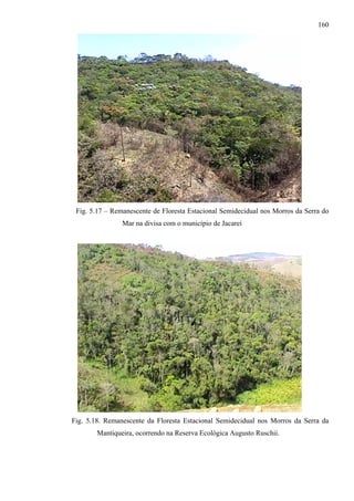 160




 Fig. 5.17 – Remanescente de Floresta Estacional Semidecidual nos Morros da Serra do
                Mar na divisa com o município de Jacareí




Fig. 5.18. Remanescente da Floresta Estacional Semidecidual nos Morros da Serra da
        Mantiqueira, ocorrendo na Reserva Ecológica Augusto Ruschii.
 