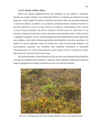 161
     5.2.4.2- Savana Arbórea Aberta
     Ocorre nos terraços pliopleistocênicos dos principais rios que drenam o município,
barrados por soleiras eruptivas. Sua composição florística é composta por elementos de larga
dispersão e estreita ligação de espécies vicariantes amazônicas. Entre seus elementos destacam-
se paus-terra (Qualea grandiflora, Q. parviflora,), pimenta-de-macaco (Xylopia brasiliensis),
pau-santo (Kielmeyra coriacea) e mais Salvertia convaliodora, Dimorphandra mollis, Annona
coriacea, Couepia grandiflora, Bowdichia virgiloides, Pterodon pubescens, entre outros. A sua
estrutura é composta de indivíduos de porte mais baixo (microfanerófitas entre 3 e 5m), tortuosos
e esgalhados, espaçados, não raro, formando gregarismo pela predominância de uma espécie pela
ação antrópica e pelo estrato herbáceo-graminóide, hemicriptofítico, em tufos, descontínuo. As
espécies do estrato dominante variam de acordo com o grau de intervenção humana e seu
posicionamento geográfico das fanerófitas mais freqüentes destacam-se o barbatimão
(Stryphnodendron sp), faveira (Dimorphandra mollis), pequi (Caryocar brasiliensis), murici
(Byrsonima sp), lixeira (Curatella amaericana).
     No estrato dominado, o barba-de-bode (Aristida sp) entre outras dezenas de hemicriptófitas
e de algumas caméfitas como compostas e mirtáceas. Como vegetação remanescente destaca-se
pequeno agrupamento revestindo os tabuleiros na zona sul e leste do município.




       Fig. 5.19 – Remanescente de Savana Arbórea Aberta no Bairro do Torrão de Ouro
 