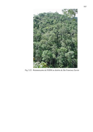 163




Fig. 5.21 –Remanescente de FODM no distrito de São Francisco Xavier
 