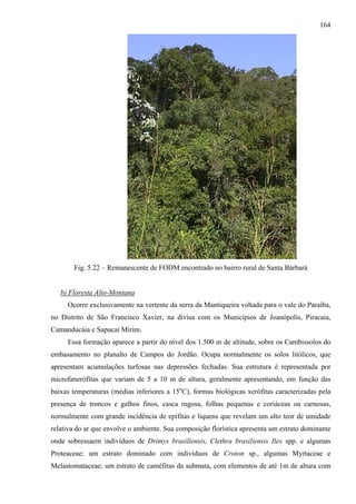 164




       Fig. 5.22 – Remanescente de FODM encontrado no bairro rural de Santa Bárbará


   b) Floresta Alto-Montana
     Ocorre exclusivamente na vertente da serra da Mantiqueira voltada para o vale do Paraíba,
no Distrito de São Francisco Xavier, na divisa com os Municípios de Joanópolis, Piracaia,
Camanducáia e Sapucaí Mirim.
     Essa formação aparece a partir do nível dos 1.500 m de altitude, sobre os Cambissolos do
embasamento no planalto de Campos do Jordão. Ocupa normalmente os solos litólicos, que
apresentam acumulações turfosas nas depressões fechadas. Sua estrutura é representada por
microfanerófitas que variam de 5 a 10 m de altura, geralmente apresentando, em função das
baixas temperaturas (médias inferiores a 15oC), formas biológicas xerófitas caracterizadas pela
presença de troncos e galhos finos, casca rugosa, folhas pequenas e coriáceas ou carnosas,
normalmente com grande incidência de epífitas e liquens que revelam um alto teor de umidade
relativa do ar que envolve o ambiente. Sua composição florística apresenta um estrato dominante
onde sobressaem indivíduos de Drimys brasiliensis, Clethra brasiliensis Ilex spp. e algumas
Proteaceae; um estrato dominado com indivíduos de Croton sp., algumas Myrtaceae e
Melastomataceae; um estrato de caméfitas da submata, com elementos de até 1m de altura com
 
