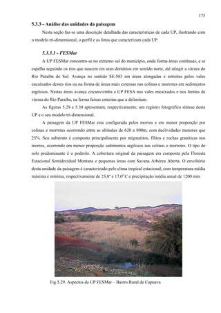 173
5.3.3 - Análise das unidades da paisagem
     Nesta seção faz-se uma descrição detalhada das características de cada UP, ilustrando com
o modelo tri-dimensional, o perfil e as fotos que caracterizam cada UP.

     5.3.3.1 - FESMar
     A UP FESMar concentra-se no extremo sul do município, onde forma áreas contínuas, e se
espalha seguindo os rios que nascem em seus domínios em sentido norte, até atingir a várzea do
Rio Paraíba do Sul. Avança no sentido SE-NO em áreas alongadas e estreitas pelos vales
encaixados destes rios ou na forma de áreas mais extensas nas colinas e morrotes em sedimentos
argilosos. Nestas áreas avança circunvizinha a UP FESA nos vales encaixados e nos limites da
várzea do Rio Paraíba, na forma faixas estreitas que a delimitam.
     As figuras 5.29 e 5.30 apresentam, respectivamente, um registro fotográfico síntese desta
UP e o seu modelo tri-dimensional.
     A paisagem da UP FESMar esta configurada pelos morros e em menor proporção por
colinas e morrotes ocorrendo entre as altitudes de 620 a 800m, com declividades menores que
25%. Seu substrato é composto principalmente por migmatitos, filitos e rochas graníticas nos
morros, ocorrendo em menor proporção sedimentos argilosos nas colinas e morrotes. O tipo de
solo predominante é o podzolo. A cobertura original da paisagem era composta pela Floresta
Estacional Semidecidual Montana e pequenas áreas com Savana Arbórea Aberta. O envoltório
desta unidade da paisagem é caracterizado pelo clima tropical estacional, com temperatura média
máxima e mínima, respectivamente de 23,8º e 17,0o C e precipitação média anual de 1200 mm.




          Fig 5.29. Aspectos da UP FESMar – Bairro Rural de Capuava
 