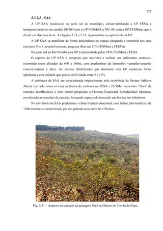 175
     5.3.3.2 - SAA
     A UP SAA localiza-se na parte sul do município, circunvizinhando a UP FESA e
interpenetrando-se em sentido SE-NO com a UP FESMAR e NO–SE com a UP FESMant, que a
divide em diversas áreas. As figuras 5.31 e 5.32, representam os aspectos desta UP.
     A UP SAA se manifesta de forma descontínua no espaço chegando a constituir nos seus
extremos N e S, respectivamente, pequena ilhas nas UPs FESMant e FESMar.
     Na parte sul ao Rio Paraíba esta UP é entrecortada pelas UPS, FESMant e FESA.
     O suporte da UP SAA é composto por morrotes e colinas em sedimentos arenosos,
ocorrendo entre altitudes de 600 a 660m, com predomínio de latossolos vermelho-amarelo
concrecionários e álico. As colinas tabuliformes que dominam esta UP conferem forma
aplainada a esta unidade que possui declividade entre 5 e 10%.
     A cobertura da SAA era caracterizada originalmente pela ocorrência da Savana Arbórea
Aberta (cerrado senso strictu) na forma de enclaves na FESA e FESMar (ocorriam “ilhas” de
cerrados interfluviais) e com menor proporção a Floresta Estacional Semidecidual Montana,
envolvendo as manchas de cerrado, formando espaços de transição nas bordas dos tabuleiros.
     No envoltório da SAA predomina o clima tropical estacional, com índice pluviométrico de
1200 mm/ano e caracterizado por um período seco entre 60 e 90 dias.




       Fig. 5.31 – Aspecto da unidade da paisagem SAA no Bairro do Torrão de Ouro.
 