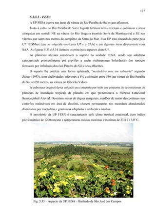 177
     5.3.3.3 - FESA
     A UP FESA ocorre nas áreas de várzea do Rio Paraíba do Sul e seus afluentes.
     Junto à calha do Rio Paraíba do Sul e Jaguari formam áreas extensas e contínuas e áreas
alongadas em sentido NE na várzea do Rio Buquira (sentido Serra da Mantiqueira) e SE nas
várzeas que saem nos morros do complexo da Serra do Mar. Esta UP esta circundada parte pela
UP FESMant (que se intercala entre esta UP e a SAA) e em algumas áreas diretamente com
SAA. As figuras 5.33 e 5.34 ilustram os principais aspectos desta UP.
     As planícies aluviais constituem o suporte da unidade FESA, sendo seu substrato
caracterizado principalmente por aluviões e areias sedimentares holocênicas dos terraços
formados por influência dos rios Paraíba do Sul e seus afluentes.
     O suporte lhe confere uma forma aplainada, “verdadeiro mar em calmaria” segundo
Zaluar (1953), com declividades inferiores a 5% e altitudes entre 550 (na várzea do Rio Paraíba
do Sul) e 650 metros, na várzea do Ribeirão Vidoca.
     A cobertura original desta unidade era composta por todo um conjunto de ecossistemas de
planícies de inundação tropicais de planalto em que predominava a Floresta Estacional
Semidecidual Aluvial. Ocorriam matas de diques marginais, cordões de matas descontínuas nos
cinturões meândricos em área de aluviões, charcos permanentes nos meandros abandonados
dominados por macrófitas e gramíneas adaptadas a ambientes úmidos.
     O envoltório da UP FESA é caracterizado pelo clima tropical estacional, com índice
pluviométrico de 1200mm/ano e temperaturas médias máximas e mínimas de 23,8 e 17,0o C.




        Fig. 5.33 – Aspecto da UP FESA – Banhado de São José dos Campos
 
