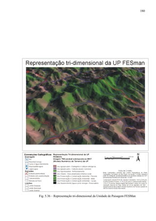 180




Fig. 5.36 – Representação tri-dimensional da Unidade de Paisagem FESMan
 