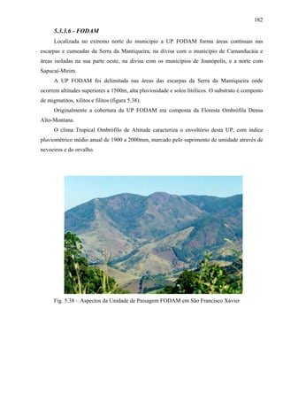 182
      5.3.3.6 - FODAM
      Localizada no extremo norte do município a UP FODAM forma áreas contínuas nas
escarpas e cumeadas da Serra da Mantiqueira, na divisa com o município de Camanducáia e
áreas isoladas na sua parte oeste, na divisa com os municípios de Joanópolis, e a norte com
Sapucaí-Mirim.
      A UP FODAM foi delimitada nas áreas das escarpas da Serra da Mantiqueira onde
ocorrem altitudes superiores a 1500m, alta pluviosidade e solos litólicos. O substrato é composto
de migmatitos, xilitos e filitos (figura 5.38).
      Originalmente a cobertura da UP FODAM era composta da Floresta Ombrófila Densa
Alto-Montana.
      O clima Tropical Ombrófilo de Altitude caracteriza o envoltório desta UP, com índice
pluviométrico médio anual de 1900 a 2000mm, marcado pelo suprimento de umidade através de
nevoeiros e do orvalho.




      Fig. 5.38 – Aspectos da Unidade de Paisagem FODAM em São Francisco Xavier
 