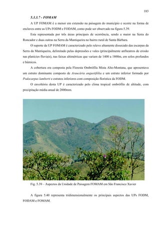 183
     5.3.3.7 - FOMAM
     A UP FOMAM é a menor em extensão na paisagem do município e ocorre na forma de
enclaves entre as UPs FODM e FODAM, como pode ser observado na figura 5.39.
     Esta representada por três áreas principais de ocorrência, sendo a maior na Serra do
Roncador e duas outras na Serra da Mantiqueira no bairro rural de Santa Bárbara.
     O suporte da UP FOMAM é caracterizado pelo relevo altamente dissecado das escarpas da
Serra da Mantiqueira, delimitado pelas depressões e vales (principalmente anfiteatros de erosão
nas planícies fluviais), nas faixas altimétricas que variam de 1400 a 1800m, em solos profundos
e húmicos.
     A cobertura era composta pela Floresta Ombrófila Mista Alto-Montana, que apresentava
um estrato dominante composto de Araucária angustifólia e um estrato inferior formado por
Podocarpus lamberti e estratos inferiores com composição florística da FODM.
     O envoltório desta UP é caracterizado pelo clima tropical ombrófilo de altitude, com
precipitação média anual de 2000mm.




     Fig. 5.39 – Aspectos da Unidade de Paisagem FOMAM em São Francisco Xavier


     A figura 5.40 representa tridimensionalmente os principais aspectos das UPs FODM,
FODAM e FOMAM.
 