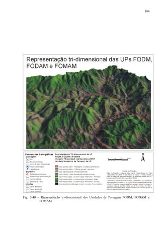 184




Fig. 5.40 – Representação tri-dimensional das Unidades de Paisagem FODM, FODAM e
           FOMAM
 