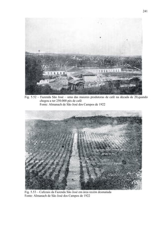 241




Fig. 5.52 – Fazenda São José – uma das maiores produtoras de café na década de 20,quando
            chegou a ter 250.000 pés de café
            Fonte: Almanach de São José dos Campos de 1922




Fig. 5.53 – Cafezais da Fazenda São José em área recém desmatada
Fonte: Almanach de São José dos Campos de 1922
 