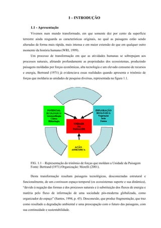 I – INTRODUÇÃO

     1.1 - Apresentação
     Vivemos num mundo transformado, em que somente dez por cento da superfície
terrestre ainda resguarda as características originais, no qual as paisagens estão sendo
alteradas de forma mais rápida, mais intensa e em maior extensão do que em qualquer outro
momento da história humana (WRI, 1999).
     Um processo de transformação em que as atividades humanas se sobrepujam aos
processos naturais, afetando profundamente as propriedades dos ecossistemas, produzindo
paisagens moldadas por forças econômicas, alta tecnologia e um elevado consumo de recursos
e energia, Bertrand (1971) já evidenciava essas realidades quando apresenta o trinômio de
forças que moldaria as unidades de pesquisa diversas, representada na figura 1.1.




     FIG. 1.1 – Representação do trinômio de forças que moldam a Unidade da Paisagem
     Fonte: Bertrand (1971) Organização: Morelli (2001).

     Desta transformação resultam paisagens tecnológicas, desconectadas estrutural e
funcionalmente, de um continuum espaço-temporal (os ecossistemas suporte e sua dinâmica),
“devido à negação das formas e dos processos naturais e à substituição dos fluxos de energia e
matéria pelo fluxo de informação de uma sociedade pós-moderna globalizada, como
organizador do espaço” (Santos, 1994, p. 45). Desconexão, que produz fragmentação, que traz
como resultado a degradação ambiental e uma preocupação com o futuro das paisagens, com
sua continuidade e sustentabilidade.
 