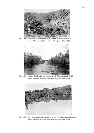 327




Fig. 5.88 – Plantio de café em morros da UP FODM na década de 20.
           (Fonte: Almanach de São José dos Campos – data 1922)




Fig. 5.89 – Cultura do algodão nas colinas da UP SAA na década de 20
           (Fonte: Almanach de São José dos Campos – data 1922)




Fig. 5.90 – Área desmatada para pastagem na UP FESMan na década de 20
           (Fonte: Almanach de São José dos Campos – data 1922)
 
