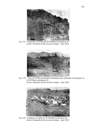 328




Fig. 5.91 – Fragmento de FESM da UP FESMant na década de 20
           (Fonte: Almanach de São José dos Campos – data 1922)




Fig. 5.92 – Área de FESM parcialmente desmatada para introdução de pastagem na
          UP FESMar na década de 20
          (Fonte: Almanach de São José dos Campos – data 1922)




Fig. 5.93 – Pastagem com gado na UP FESMan na década de 20
           (Fonte: Almanach de São José dos Campos – data 1922)
 