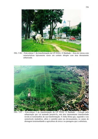 336




FIG. 5.96 – Foto-síntese 1 da transformação da UP FESA: O Banhado - Área de várzea com
           características tipicamente rurais em contato abrupto com área densamente
           urbanizada.




FIG. 5.97 – Foto-síntese 2 da transformação da UP FESA: O Banhado – Cercado pela
           urbanização que vai tentando penetrá-la, esta área intensamente transformada
           revela os testemunhos de sua transformação: A linha férrea que, seguindo o seu
           semicírculo meândrico, abriu o caminho para seu devassamento, os canais de
           drenagem testemunhando a agricultura de arroz e as pastagens que a substituiu.
 