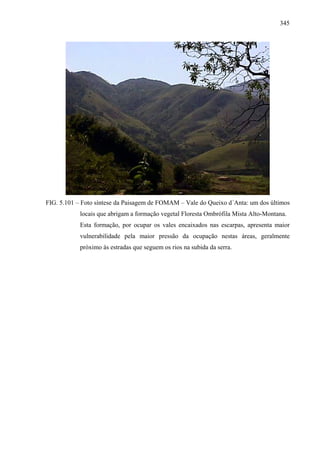 345




FIG. 5.101 – Foto síntese da Paisagem de FOMAM – Vale do Queixo d´Anta: um dos últimos
            locais que abrigam a formação vegetal Floresta Ombrófila Mista Alto-Montana.
            Esta formação, por ocupar os vales encaixados nas escarpas, apresenta maior
            vulnerabilidade pela maior pressão da ocupação nestas áreas, geralmente
            próximo às estradas que seguem os rios na subida da serra.
 