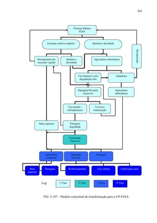 363




                                              Floresta Madura
                                                   FESA



                    Extração seletiva madeira                   Queima e derrubada




                                                                                                         Recuperação
           Recuperação por           Queima e                    Agricultura subsistência
           sucessão vegetal          derrubada




                                                  Uso intensivo com                  Abandono
                                                   degradação solo



                                                  Pastagem Pecuária                  Agricultura
                                                      extensiva                      subsistência




                                          Uso pesado -           Uso leve
                                         sobrepastoreio         manutenção




            Mata capoeira                  Pastagem
                                           degradada



                                          Construção
                                           Ferrovia




                 Agricultura                Operação              Pastagem
                 comercial                  Ferrovia



  Mata           Pastagem                 Reflorestamento          Área urbana              Exploração areia
capoeira



              Leg              1ª Fase             2ª Fase          3ª Fase           4ª Fase




                FIG. 5.107 – Modelo conceitual de transformação para a UP FESA
 