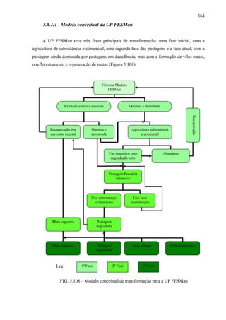 364
     5.8.1.4 - Modelo conceitual da UP FESMan


     A UP FESMan teve três fases principais de transformação: uma fase inicial, com a
agricultura de subsistência e comercial, uma segunda fase das pastagens e a fase atual, com a
paisagem ainda dominada por pastagens em decadência, mas com a formação de vilas rurais,
o reflorestamento e regeneração de matas (Figura 5.108).



                                          Floresta Madura
                                              FESMar



                  Extração seletiva madeira                  Queima e derrubada




                                                                                                      Recuperação
         Recuperação por           Queima e                   Agricultura subsistência
         sucessão vegetal          derrubada                        e comercial




                                               Uso intensivo com                  Abandono
                                                degradação solo



                                               Pastagem Pecuária
                                                   extensiva




                                   Uso sem manejo             Uso leve
                                     e abandono              manutenção




          Mata capoeira                Pastagem
                                       degradada




          Mata capoeira                Pastagem               Área urbana                Reflorestamento
                                       degradada



            Leg              1ª Fase               2ª Fase           3ª Fase



               FIG. 5.108 – Modelo conceitual de transformação para a UP FESMan
 