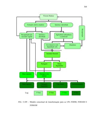 368



                                     Floresta Madura




           Extração seletiva madeira                    Queima e derrubada




                                                                                                 Recuperação
   Recuperação por          Queima e                     Agricultura subsistência
   sucessão vegetal         derrubada                          e comercial




                                         Uso intensivo com                   Abandono
                                          degradação solo



                                         Incêndio florestal




                                  Pastagem                 Matas
                                                         degradadas




    Mata capoeira            Pastagem sem
                                manejo




    Mata capoeira                 Pastagem               Vilas Rurais               Reflorestamento
                                  degradada



        Leg             1ª Fase               2ª Fase             3ª Fase             4ª fase




FIG. 5.109 – Modelo conceitual de transformação para as UPs FODM, FODAM E
               FOMAM
 