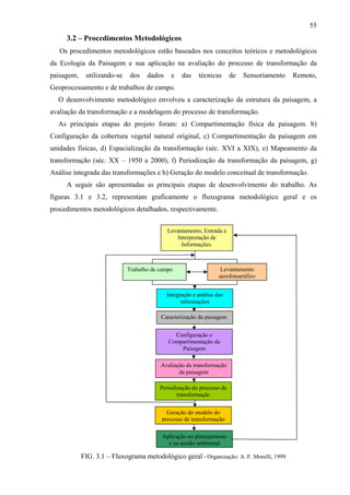 55
     3.2 – Procedimentos Metodológicos
   Os procedimentos metodológicos estão baseados nos conceitos teóricos e metodológicos
da Ecologia da Paisagem e sua aplicação na avaliação do processo de transformação da
paisagem,    utilizando-se   dos    dados    e    das    técnicas      de   Sensoriamento   Remoto,
Geoprocessamento e de trabalhos de campo.
  O desenvolvimento metodológico envolveu a caracterização da estrutura da paisagem, a
avaliação da transformação e a modelagem do processo de transformação.
  As principais etapas do projeto foram: a) Compartimentação física da paisagem. b)
Configuração da cobertura vegetal natural original, c) Compartimentação da paisagem em
unidades físicas, d) Espacialização da transformação (séc. XVI a XIX), e) Mapeamento da
transformação (séc. XX – 1950 a 2000), f) Periodização da transformação da paisagem, g)
Análise integrada das transformações e h) Geração do modelo conceitual de transformação.
     A seguir são apresentadas as principais etapas de desenvolvimento do trabalho. As
figuras 3.1 e 3.2, representam graficamente o fluxograma metodológico geral e os
procedimentos metodológicos detalhados, respectivamente.


                                            Levantamento, Entrada e
                                                Interpretação de
                                                  Informações.



                             Trabalho de campo                     Levantamento
                                                                  aerofotográfico


                                            Integração e análise das
                                                  informações

                                         Caracterização da paisagem


                                              Configuração e
                                            Compartimentação da
                                                Paisagem

                                         Avaliação da transformação
                                                da paisagem

                                         Periodização do processo de
                                                transformação


                                            Geração do modelo do
                                          processo de transformação

                                          Aplicação no planejamento
                                            e na gestão ambiental

            FIG. 3.1 – Fluxograma metodológico geral - Organização: A. F. Morelli, 1999
 