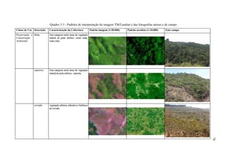 Quadro 3.3 - Padrões de interpretação da imagem TM/Landsat e das fotografias aéreas e de campo
Classe de Uso Descrição   Caracterização da Cobertura                Padrão imagem (1:50.000)   Padrão aerofoto (1:10.000)   Foto campo
Preservação e Mata        Esta categoria inclui áreas de vegetação
Conservação               natural de porte arbóreo, como mata,
Ambiental                 mata ciliar.




              capoeira    Esta categoria inclui áreas de vegetação
                          natural de porte arbóreo, capoeira




              cerrado     vegetação arbórea, arbustiva e herbácea
                          de cerrado




                                                                                                                                          70
 