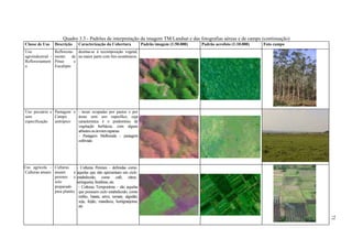 Quadro 3.3 - Padrões de interpretação da imagem TM/Landsat e das fotografias aéreas e de campo (continuação)
Classe de Uso      Descrição     Caracterização da Cobertura                Padrão imagem (1:50.000)   Padrão aerofoto (1:10.000)   Foto campo
Uso                Refloresta- destina-se à recomposição vegetal,
agroindustrial -   mento     de na maior parte com fins econômicos.
Reflorestament     Pinus      e
o                  Eucalipto




Uso pecuário e Pastagem e - áreas ocupadas por pastos e por
sem            Campo      áreas sem uso específico, cuja
especificação  antrópico  característica é o predomínio de
                          vegetação herbácea, com alguns
                          arbustos ou árvores esparsas
                          - Pastagem Melhorada - pastagem
                          cultivada




Uso agrícola – Culturas         - Culturas Perenes - definidas como
Culturas anuais anuais      e   aquelas que não apresentam um ciclo
                perenes e       estabelecido, como café, cítrus,
                solo            seringueira, frutíferas, etc.
                preparado        - Culturas Temporárias - são aquelas
                para plantio     que possuem ciclo estabelecido, como
                                 milho, batata, arroz, tomate, algodão,
                                 soja, feijão, mandioca, hortigranjeiras,
                                 etc




                                                                                                                                                 71
 